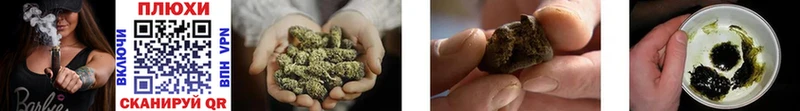 купить наркоту  Елабуга  мориарти телеграм  ГАШИШ AMNESIA HAZE  mega маркетплейс 