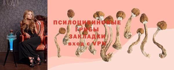 тгк Белокуриха