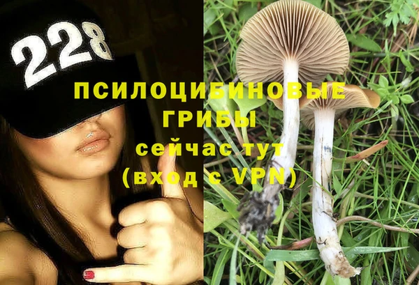 эйфоретик Беломорск