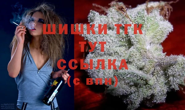 эйфоретик Беломорск